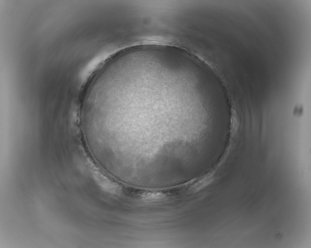 X0000111791454200907301134