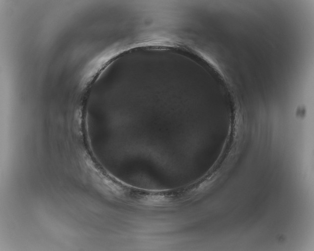 X0000111791455200907301134