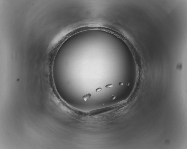 X0000111791456200907301134