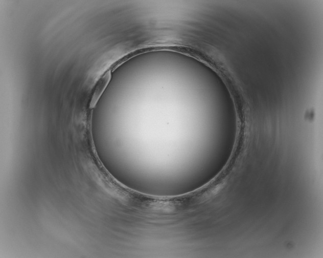 X0000111791457200907301134