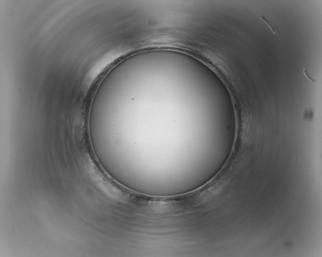 X0000111791458200907301134