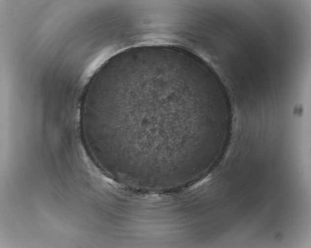 X0000111791459200907301134