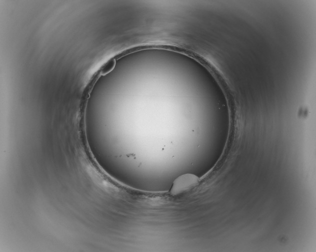 X0000111791460200907301134