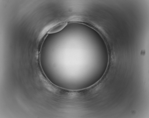 X0000111791461200907301134