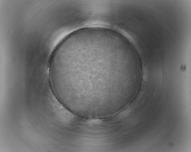 X0000111791462200907301134