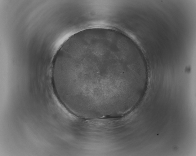 X0000111791463200907301134