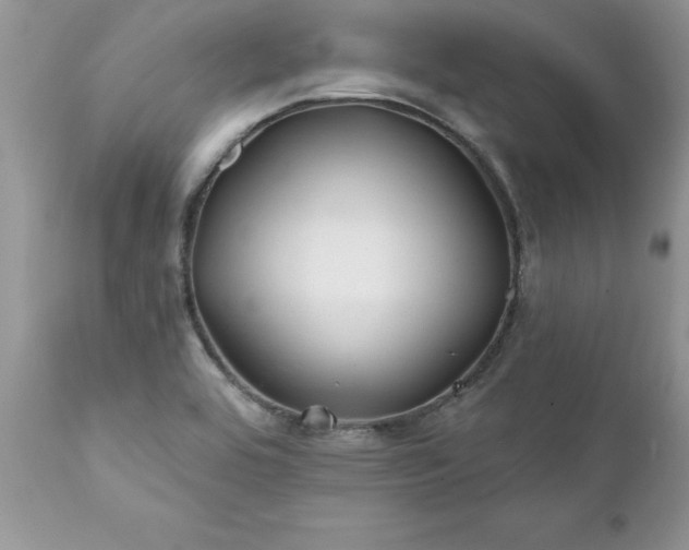 X0000111791464200907301134