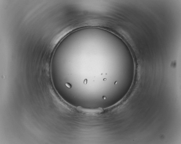 X0000111791465200907301134