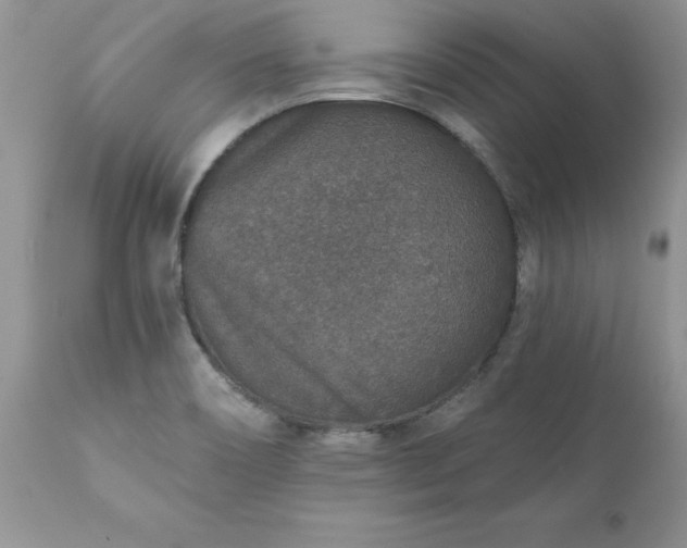 X0000111791466200907301134