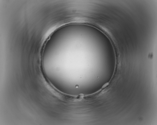 X0000111791467200907301134