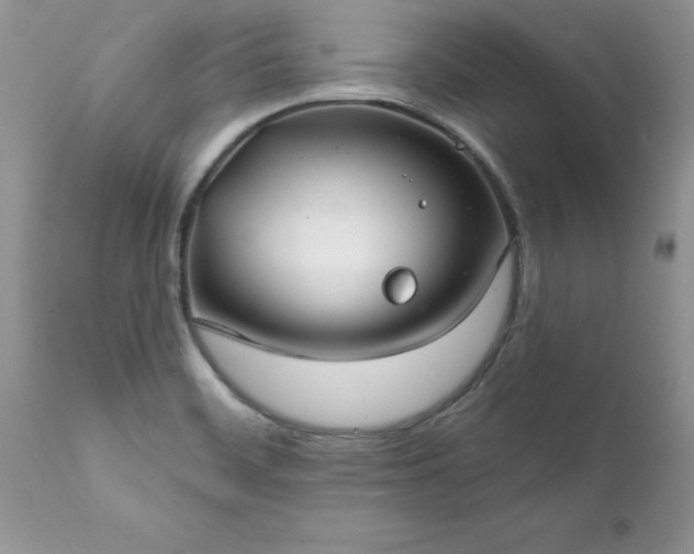 X0000111791468200907301134