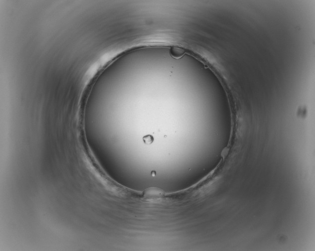 X0000111791469200907301133