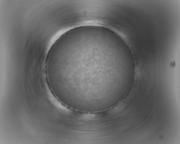 X0000111791470200907301133