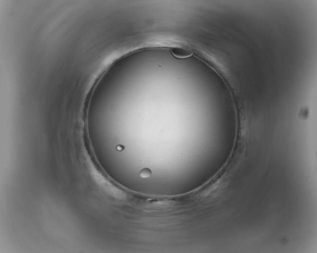 X0000111791471200907301133