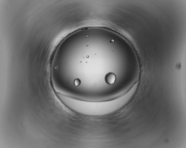 X0000111791472200907301133