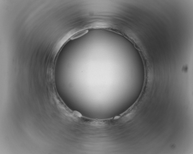 X0000111791473200907301133