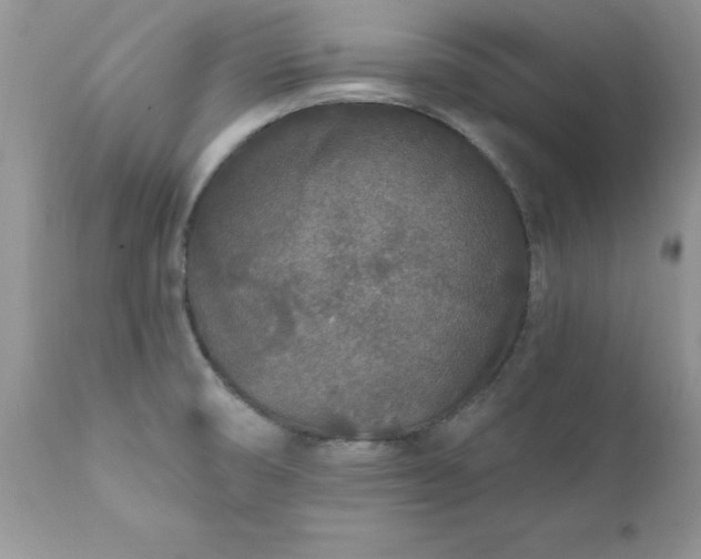 X0000111791474200907301133