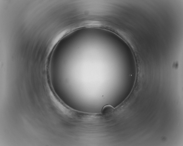 X0000111791475200907301133