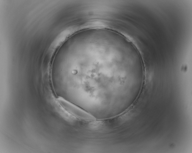 X0000111791477200907301133