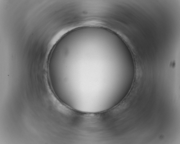 X0000111791478200907301133