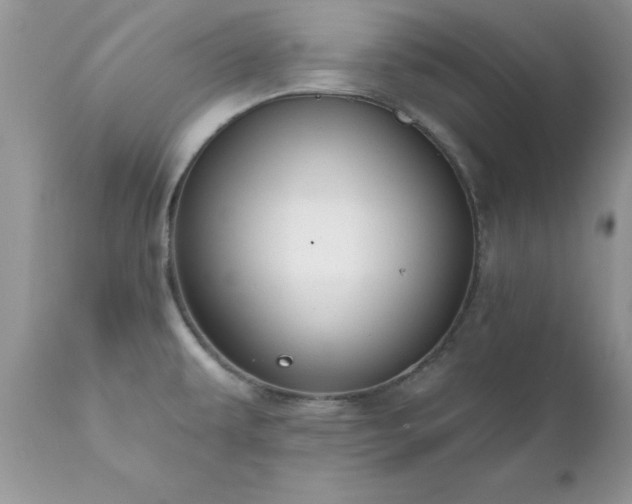 X0000111791479200907301133