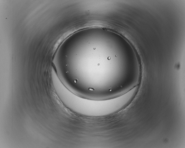 X0000111791481200907301133