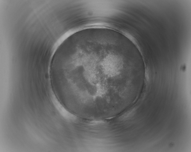 X0000111791482200907301133