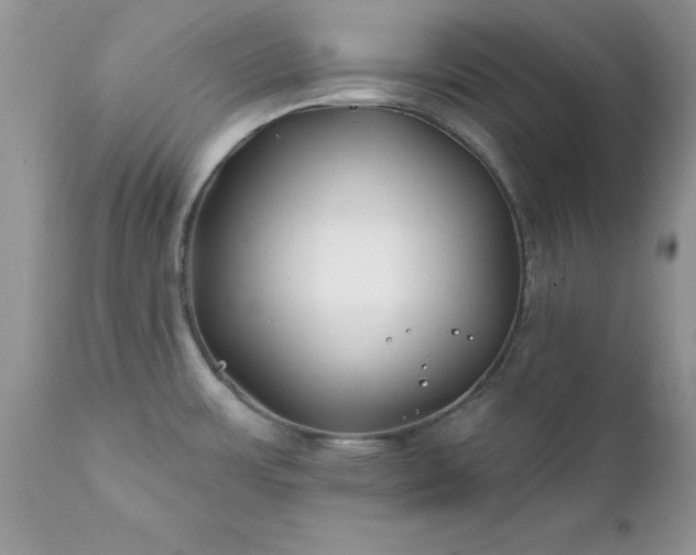 X0000111791483200907301133