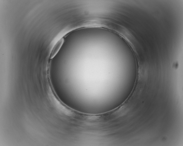 X0000111791484200907301133