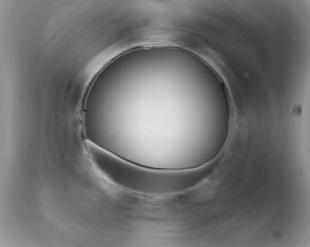 X0000111791485200907301133