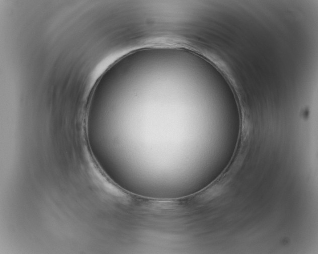 X0000111791486200907301133