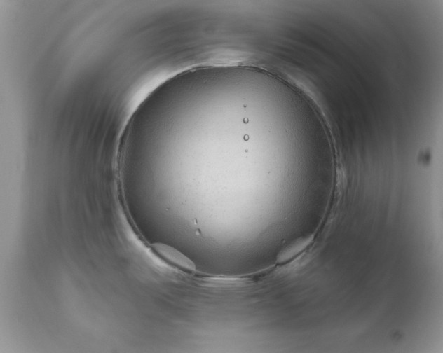 X0000111791487200907301133