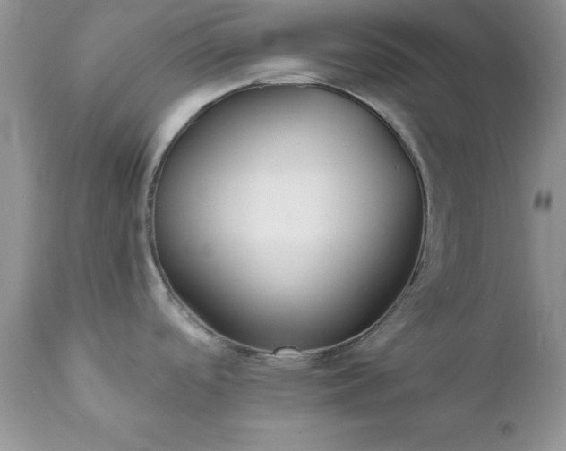 X0000111791488200907301133