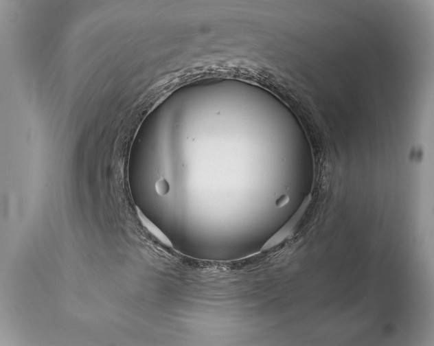 X0000111791489200907301133