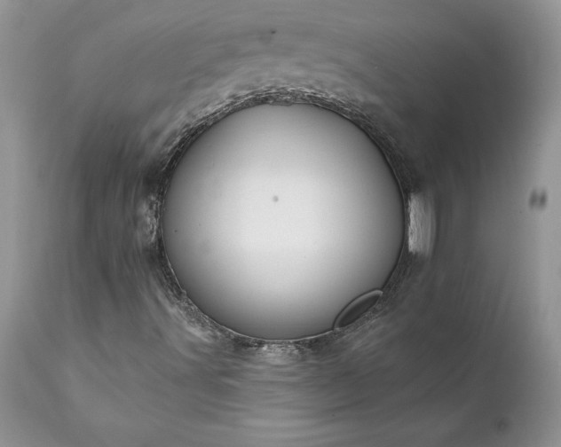 X0000111791491200907301133