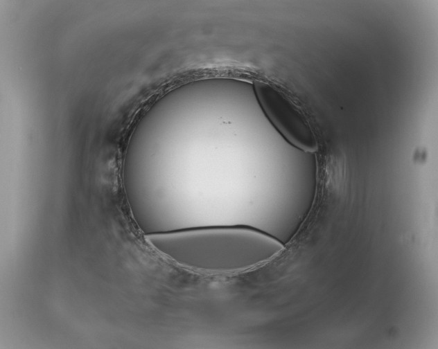 X0000111791493200907301133