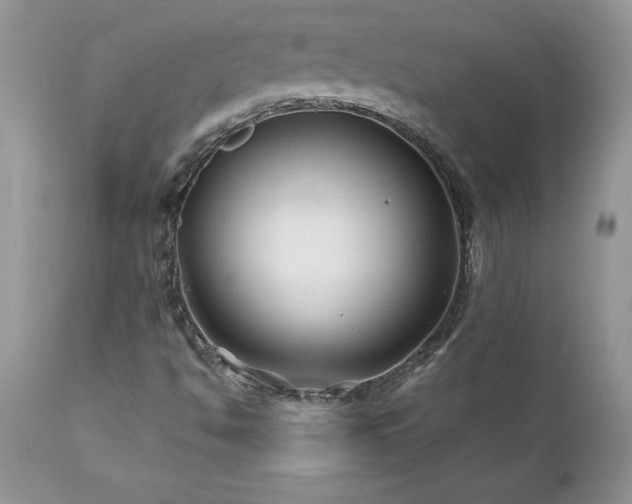 X0000111791494200907301133