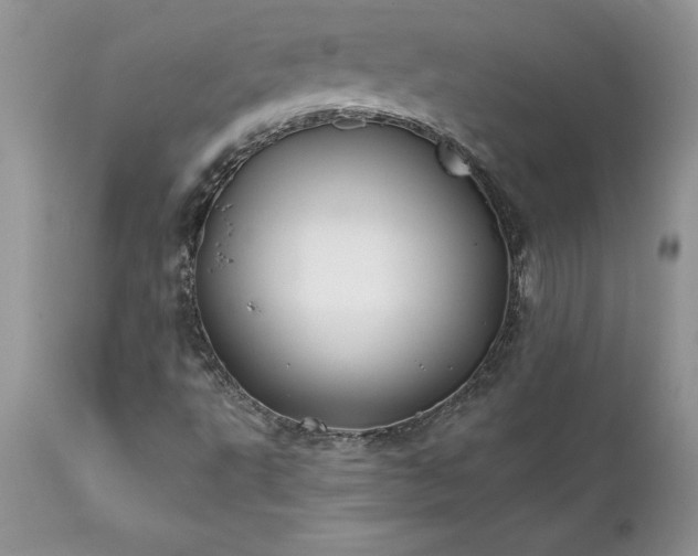 X0000111791495200907301133