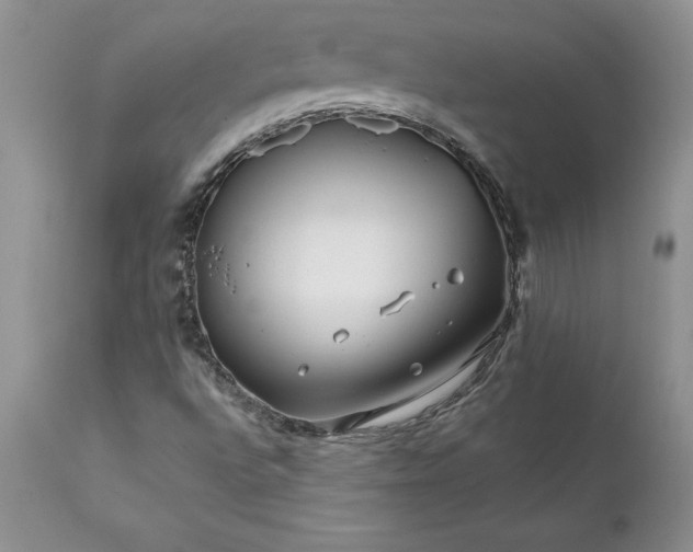 X0000111791496200907301133