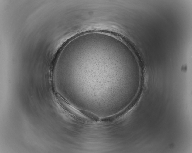 X0000111791497200907301133