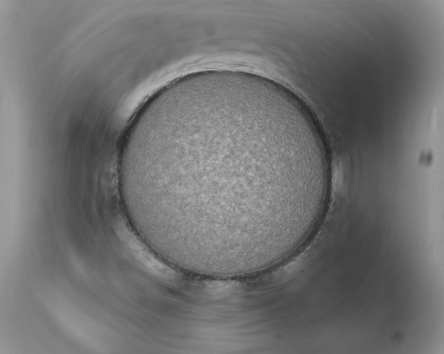 X0000111791498200907301133