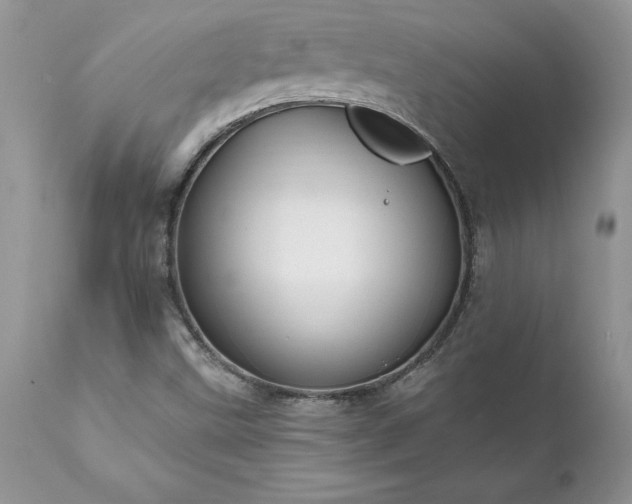 X0000111791499200907301133