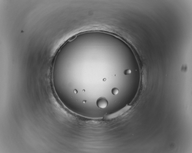 X0000111791500200907301133