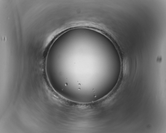 X0000111791501200907301133