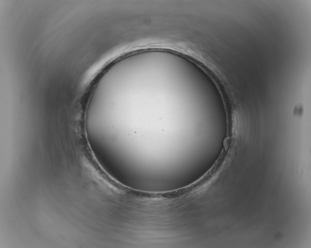 X0000111791502200907301133