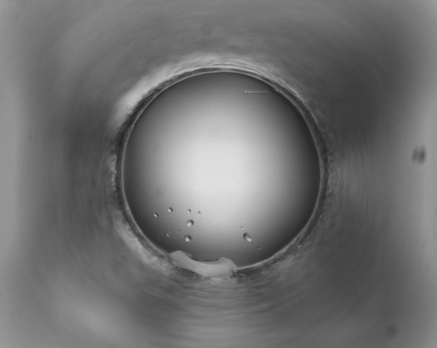 X0000111791503200907301133