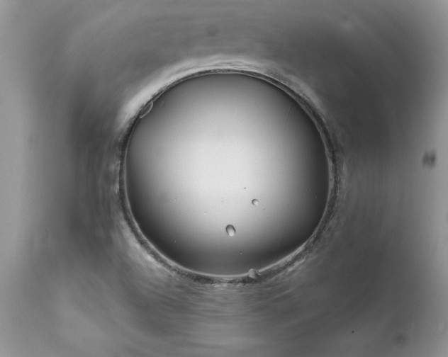 X0000111791504200907301133