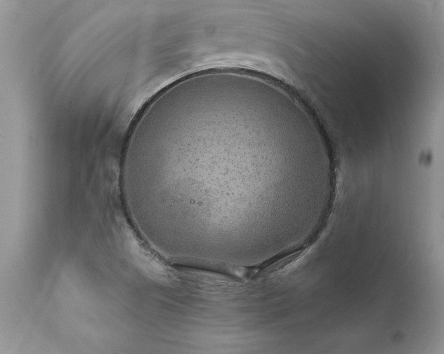 X0000111791505200907301133