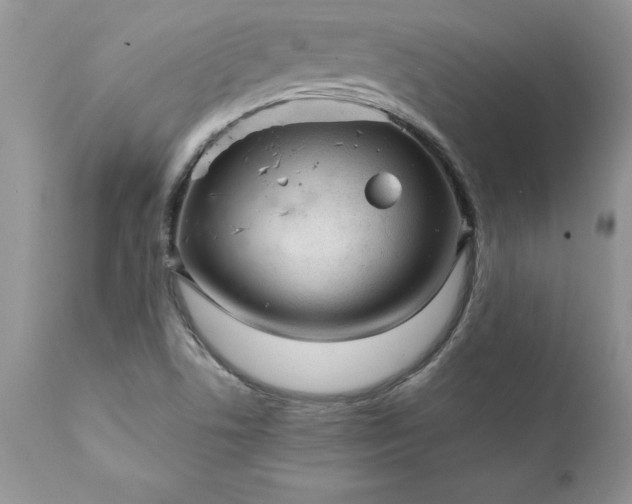 X0000111791506200907301133