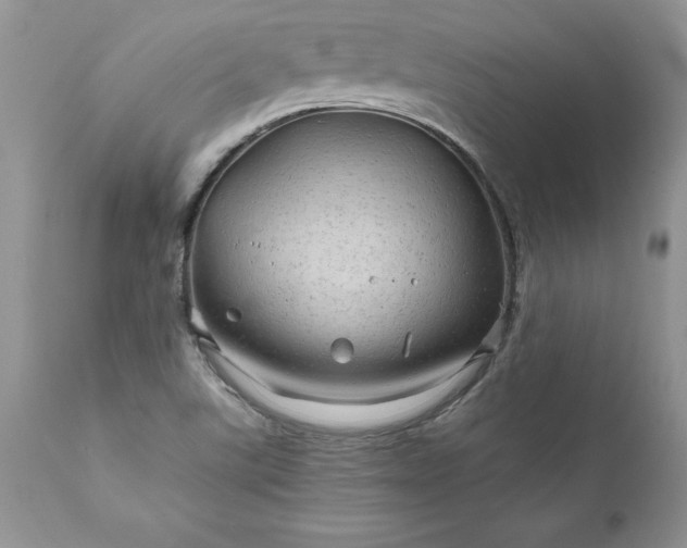 X0000111791507200907301133